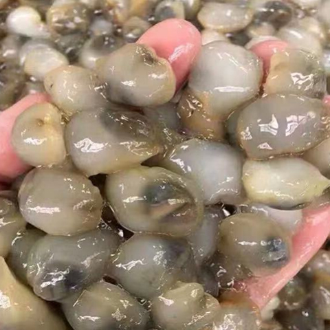 &#21338;&#40060;&#20307;&#32946;&#40;&#20013;&#22269;&#41;&#23448;&#26041;&#32593;&#31449;&#45;&#30331;&#24405;&#20837;&#21475;
